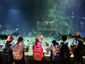 JPA Image Gallery - Jay Pritzker Academy, Siem Reap, Cambodia